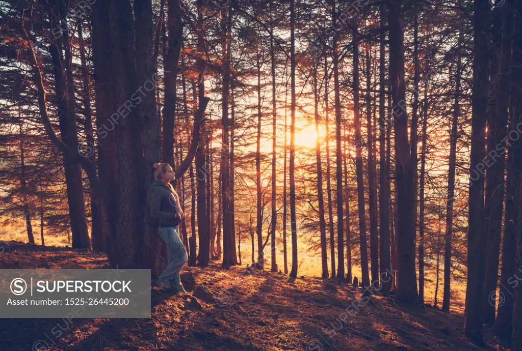 Woman walking in the autumn forest, pretty girl spending morning in the park, enjoying mild yellow sunlight breaking through tree trunks, serene fall weekend