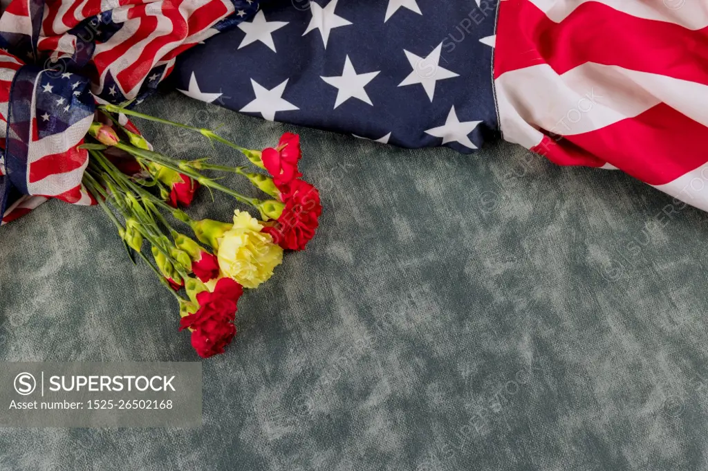 American flag for Memorial Day in the Remembrance Veterans Day pink carnation flowers. American flag for Memorial Day in Remembrance Veterans Day pink carnation flowers