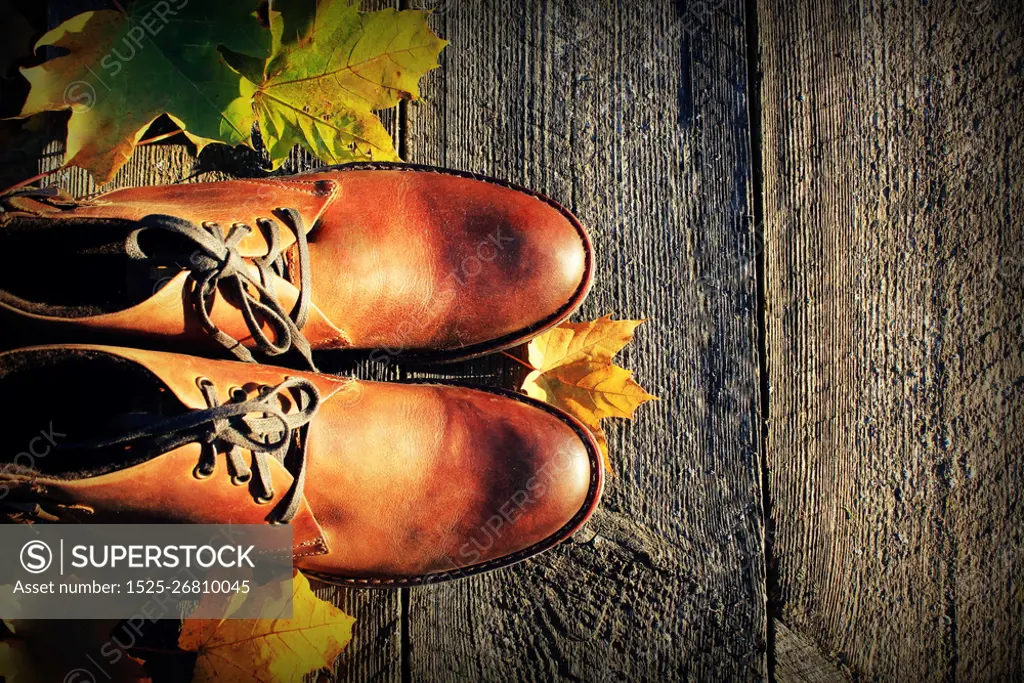 Brown shoes on fall background. Top view .. Brown shoes on fall background. Top view