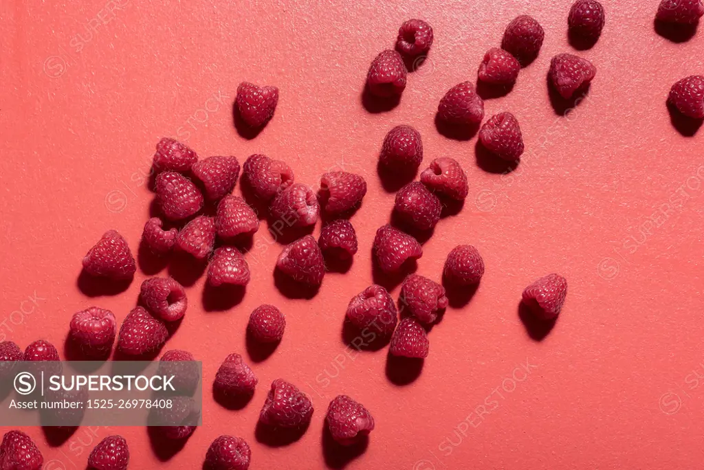 Fresh raspberry pile scattered on a red background. Flat lay of tasty raspberries. Red shades monotone image of berries. Sweet summer fruits.