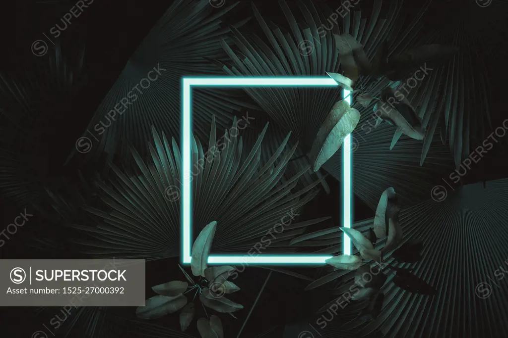 3d rendering of white square neon light with tropical leaves.. Flat lay of minimal nature style concept