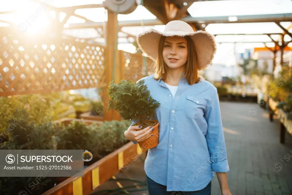 Female customer buying flower in a pot, shop for floristry. Woman choosing equipment in store for floriculture, florist instrument purchasing. Female customer buying flower in a pot, floristry