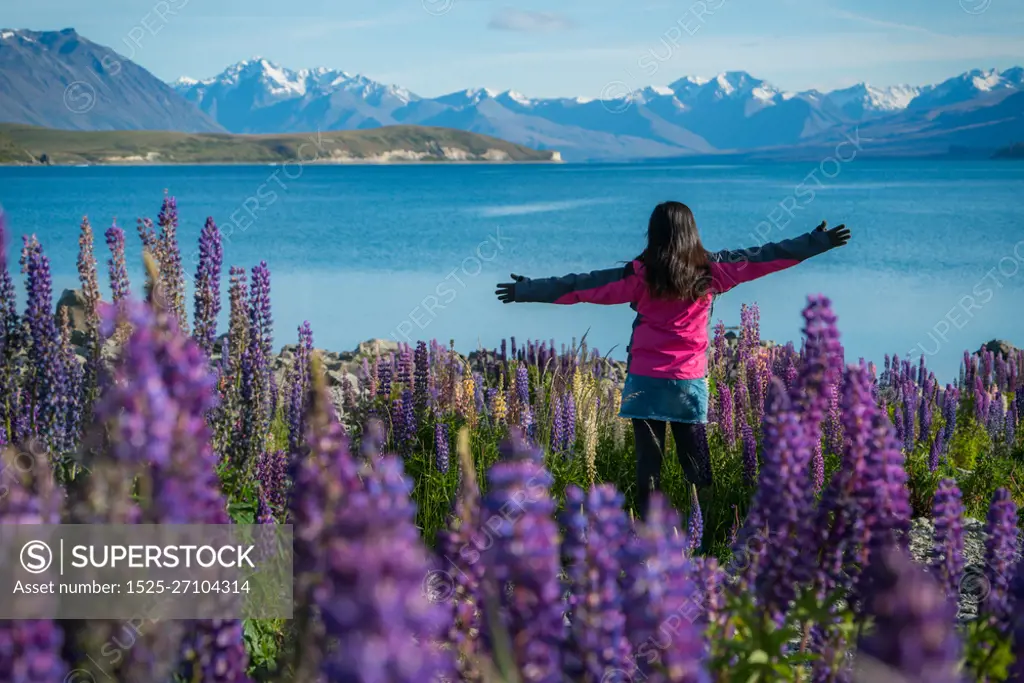 Tourist woman at lake Tekapo, New Zealand. Lupin flower at lake Tekapo blossom in summer in New Zealand. Happy travel. New Zealand landscape.