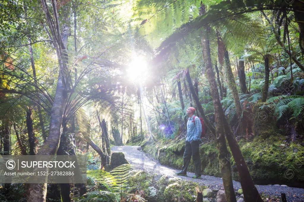 Hiking and tramping in New Zealand. Travel and adventure concept