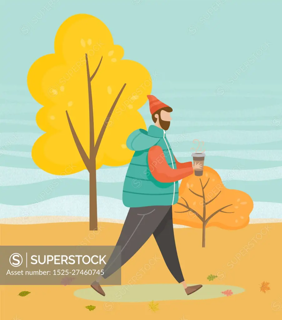 Man walking in forest or wood alone. Guy drinking coffee while strolling through vector lawn. Person in warm clothes like hat and jacket. Beautiful landscape of autumn park, fall weather illustration. Man Walking in Autumn Park, Fall Warm Weather