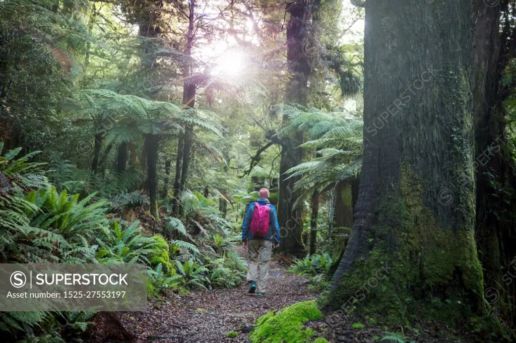 Hiking and tramping in New Zealand. Travel and adventure concept