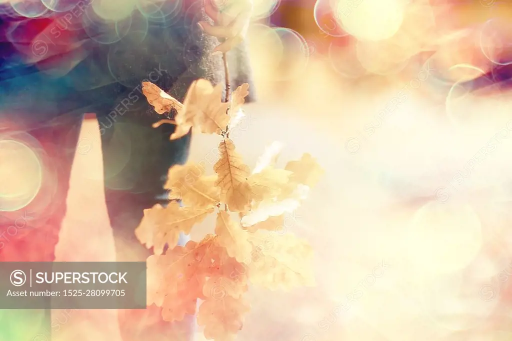 leaf fall autumn / fallen yellow leaves in the hands of a single girl walking in the park, concept autumn melancholy mood