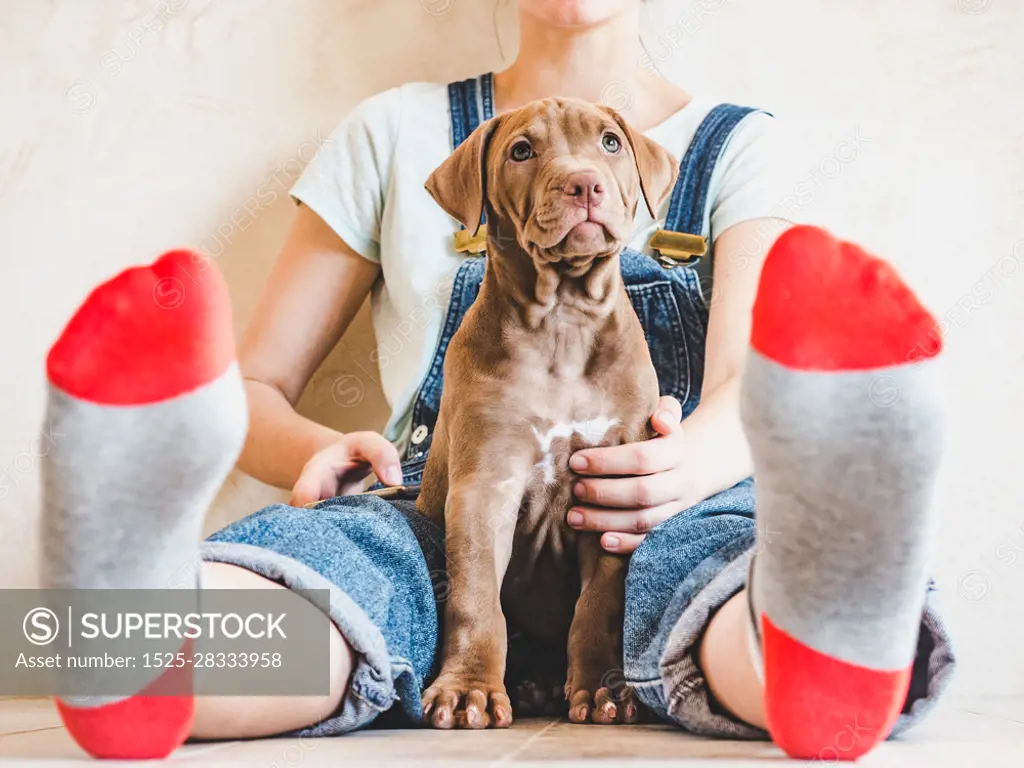 Beautiful woman and young, charming puppy. Closeup, white isolated background. Studio photo. Concept of care, education, obedience training and raising of pets. Beautiful woman and young puppy. Studio photo.