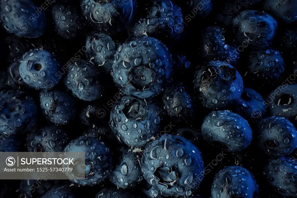 Amazing fresh ripe bilberries. Gigantic acai berries. Extreme macro photo of organic blueberry plant. Diet, antioxidant, healthy vegan food.. Extreme macro blueberries background. Fresh ripe summer organic berries harvest.