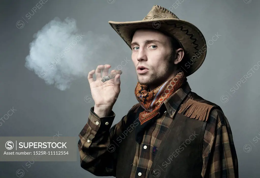 Artistic portrait of the young beautiful man. The young man smokes a cigar