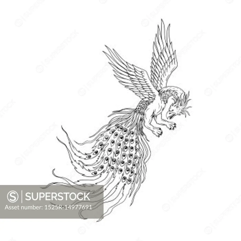 Drawing sketch style illustration of a Simorg,Simurgh, simorg, simurg, simoorg, simorq or simourv, a mythical bird in Iranian Persian mythology that has a head of a wolf, with beak of eagle, legs of lion and tail of a peacock.. Simorgh or Simurgh Flying Drawing