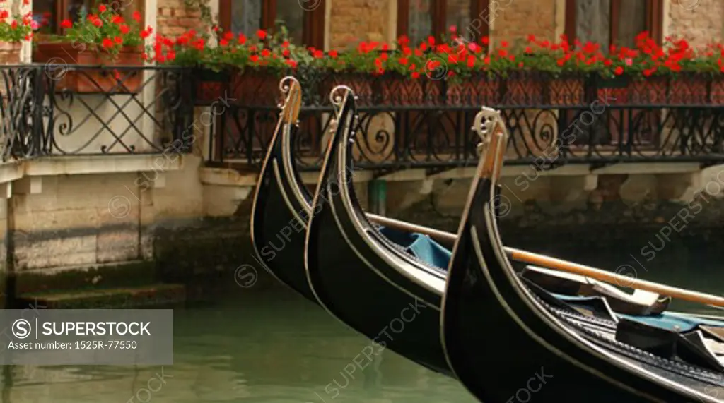 Residential scene of gondolas in a side street canal in Venice Italy Europe