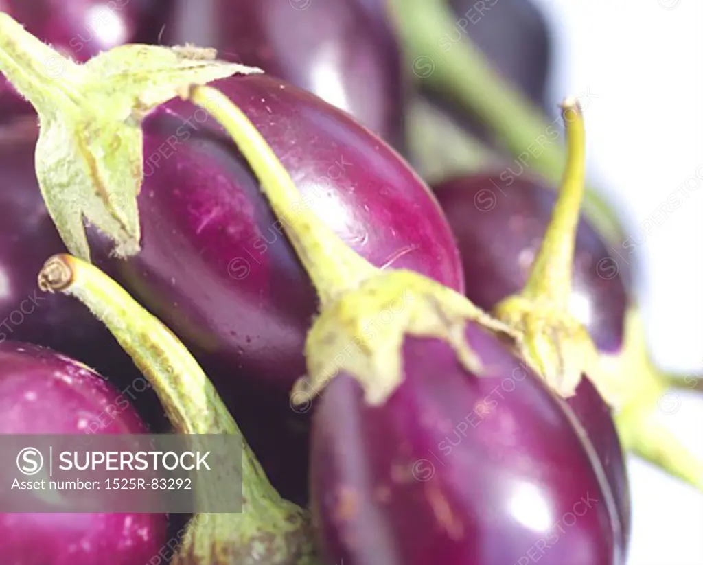 Close-up of eggplant