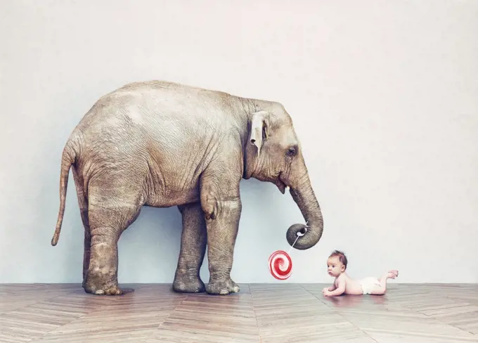 baby elephant and human baby in an empty room. Photo combination concept