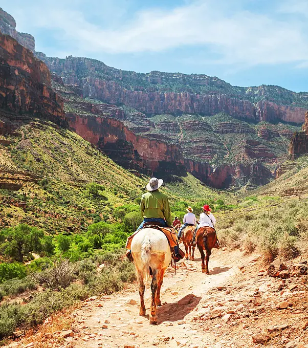 Hike in Grand Canyon