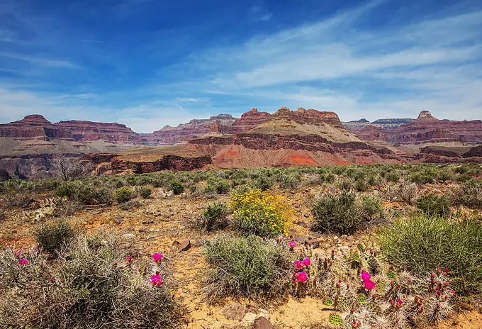 Grand Canyon