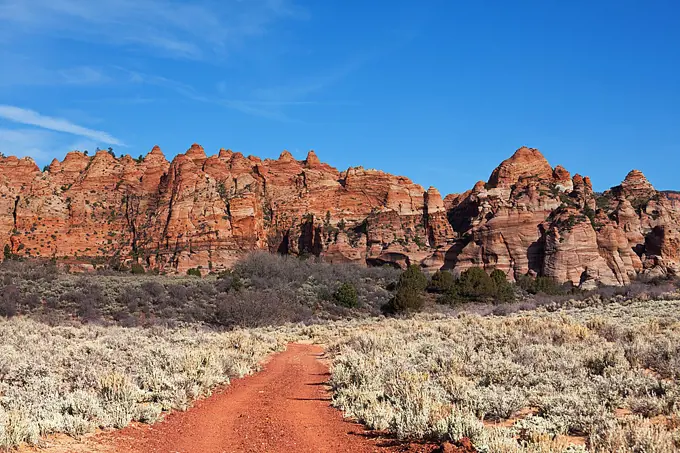 Zion national park