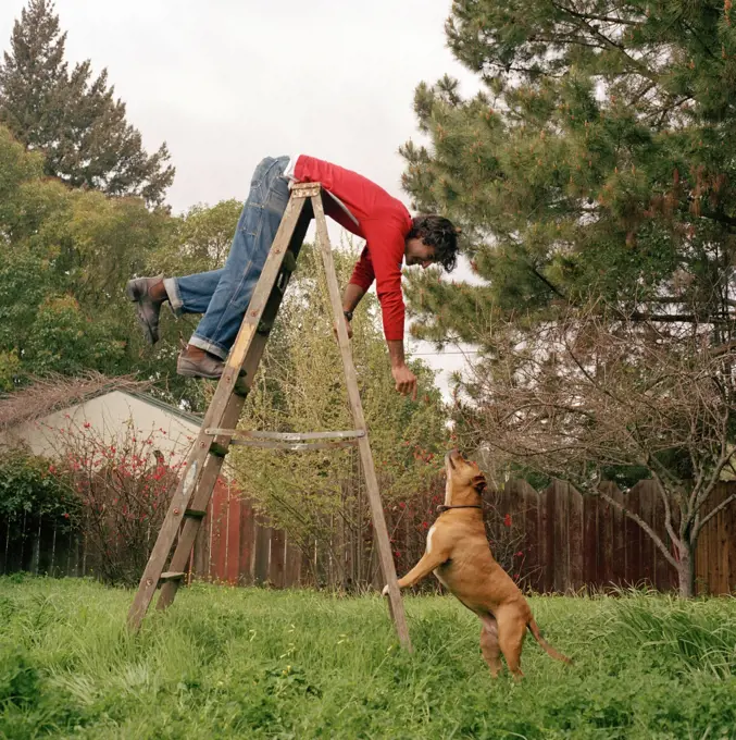 Man Playing On A Ladder With His Dog In The Back Yard