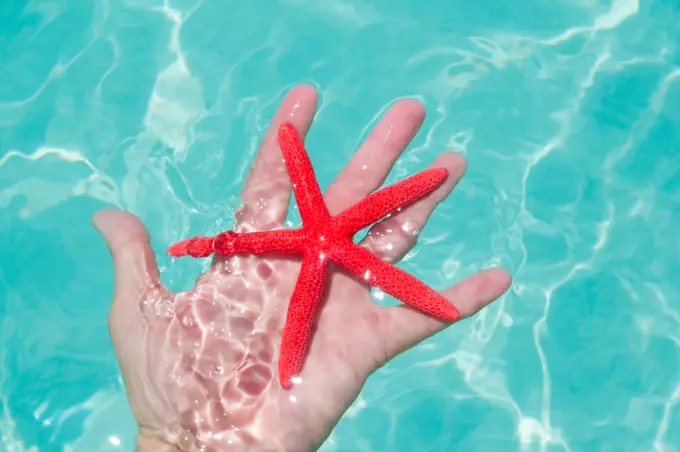 Red starfish in human hand floating in turquoise tropical beach