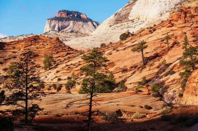 Zion National Park