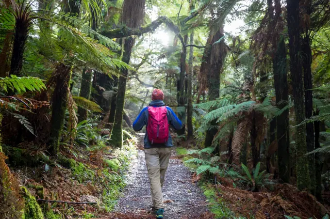 Hiking and tramping in New Zealand. Travel and adventure concept