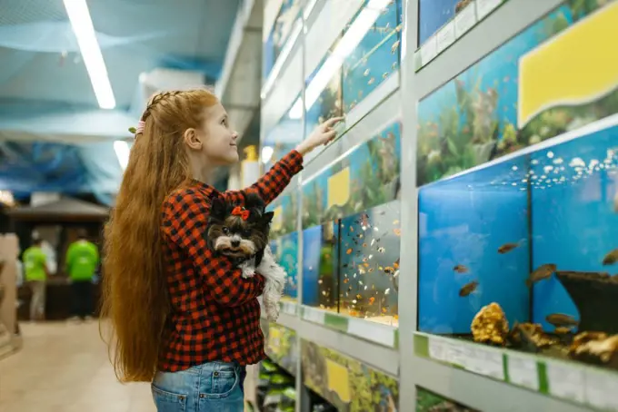 Little girl with puppy looking on fishes in aquarium, pet store. Child buying equipment in petshop, accessories for domestic animals. Girl looking on fishes in aquarium, pet store