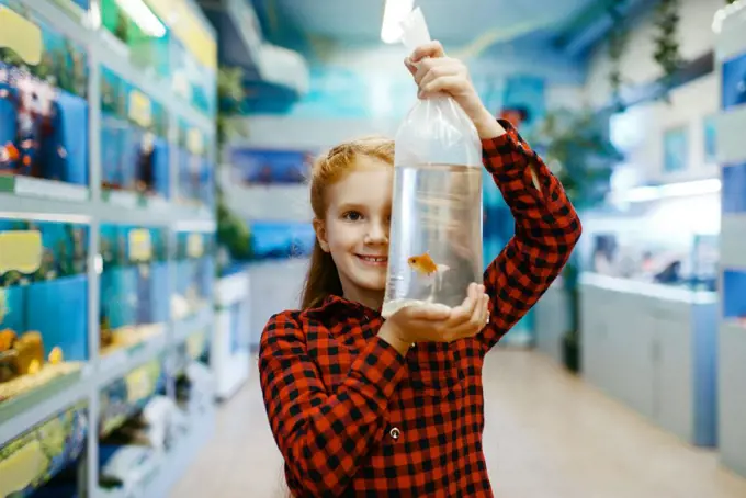 Happy little girl looking on goldfish in pet store. Child buying equipment in petshop. Happy little girl looking on goldfish in pet store