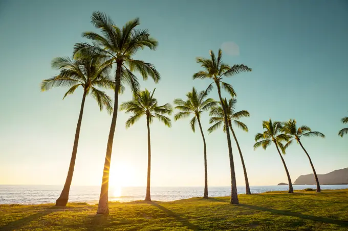 Hawaiian beach. Amazing hawaiian beach