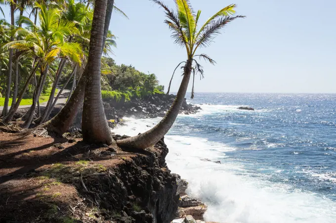 Hawaiian beach. Amazing hawaiian beach