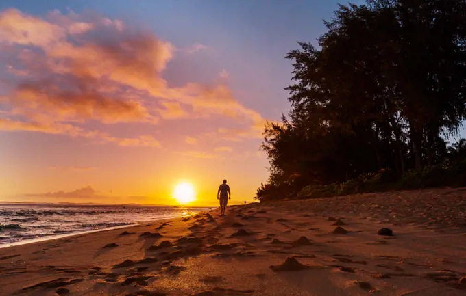 Hawaiian beach. Amazing hawaiian beach