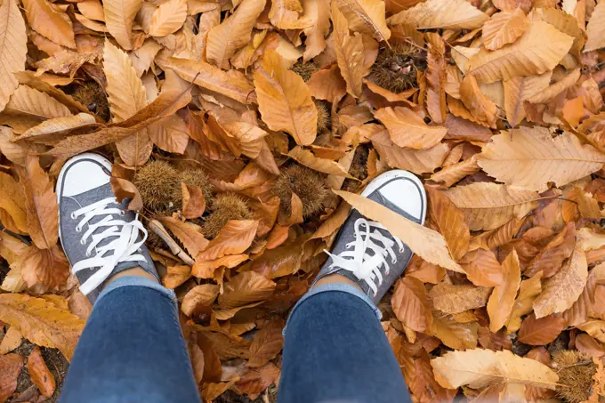 Fall, autumn, leaves, legs and shoes. Conceptual image of legs in shoes on the autumn leaves. Feet shoes walking in nature 