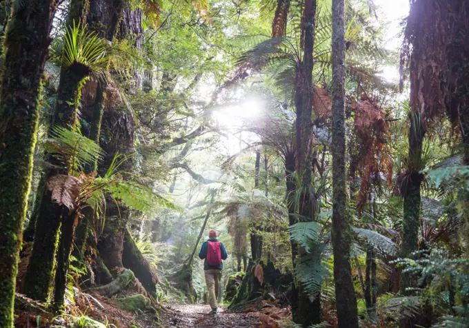 Hiking and tramping in New Zealand. Travel and adventure concept