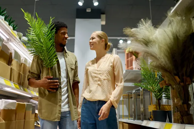 Happy married couple buying decorative palm tree for home interior design in pot at furnishing shop. Happy couple buying decorative potted palm tree