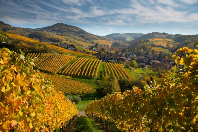 Autumn in the black forest in Germany