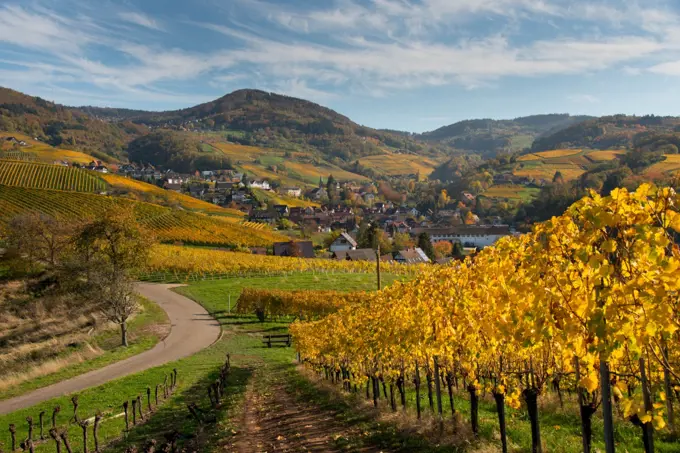 Autumn in the black forest in Germany