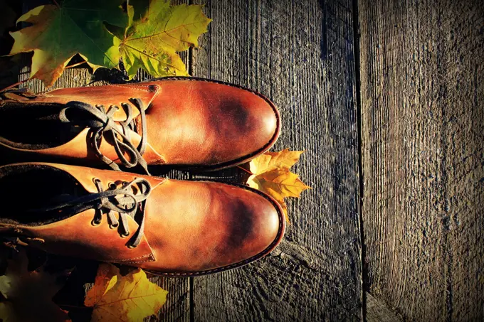 Brown shoes on fall background. Top view .. Brown shoes on fall background. Top view