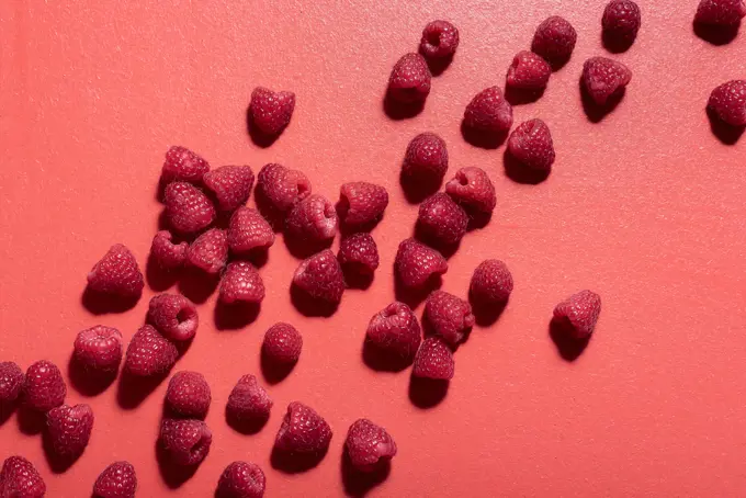 Fresh raspberry pile scattered on a red background. Flat lay of tasty raspberries. Red shades monotone image of berries. Sweet summer fruits.
