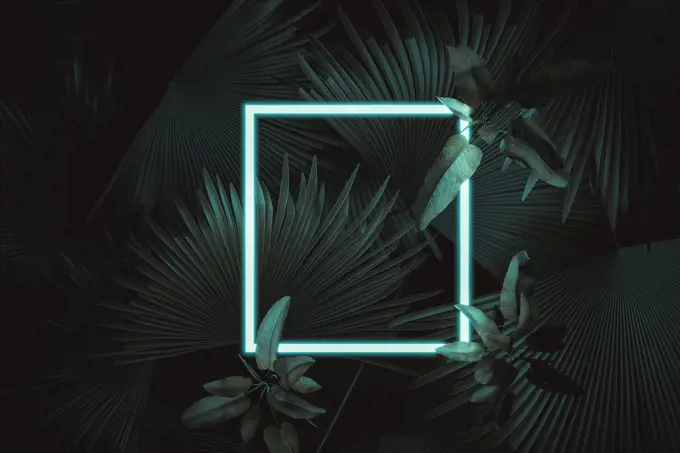 3d rendering of white square neon light with tropical leaves.. Flat lay of minimal nature style concept