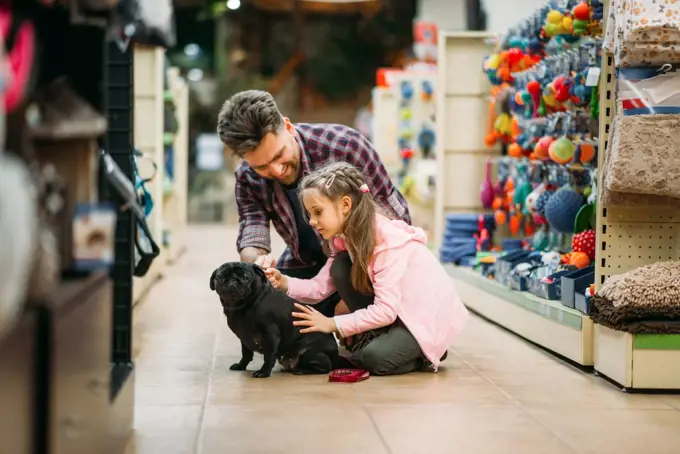 Father and little dauther are plays with puppy in pet shop. Family buying supplies for little dog in petshop. Father and dauther plays with puppy in pet shop