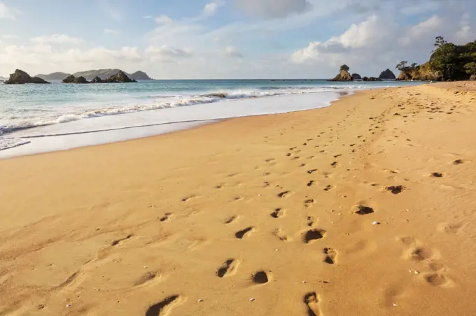 Beautiful landscapes it the Ocean Beach, New Zealand. Inspiring natural and travel background