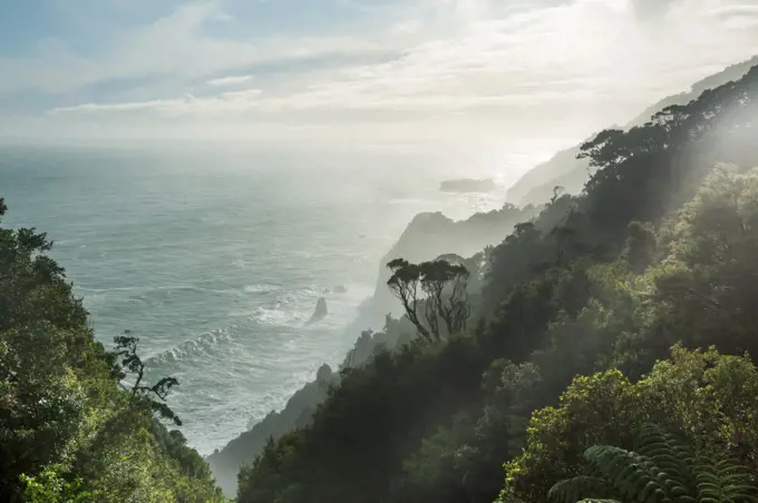 Beautiful landscapes it the Ocean Beach, New Zealand. Inspiring natural and travel background