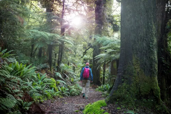 Hiking and tramping in New Zealand. Travel and adventure concept