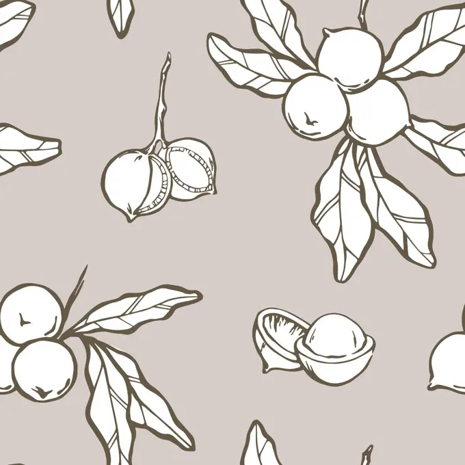 Macadamia seamless pattern. Branch with leaves and shelled nuts. Hand drawn background design in grey brown and white colors. Vector illustration.