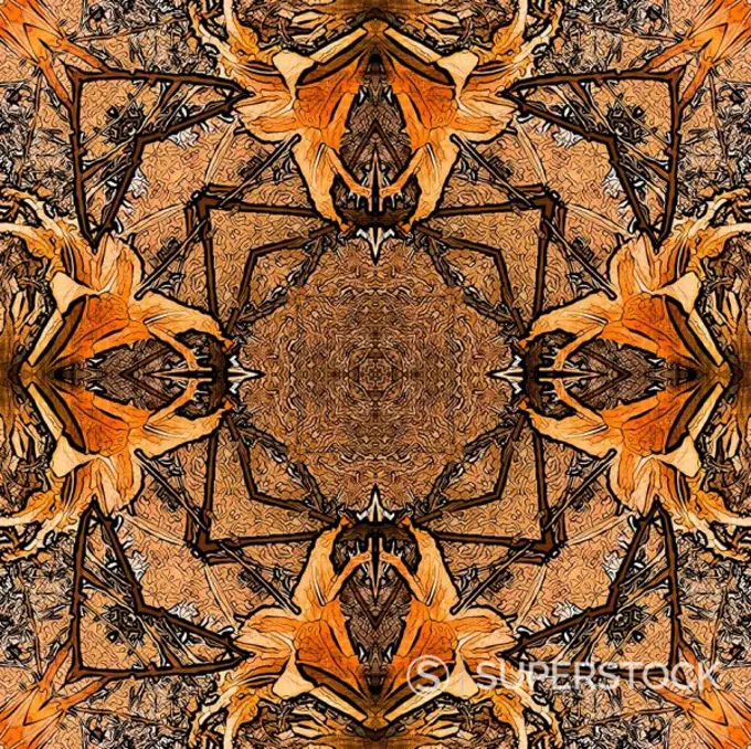 art nouveau colorful ornamental vintage pattern in brown