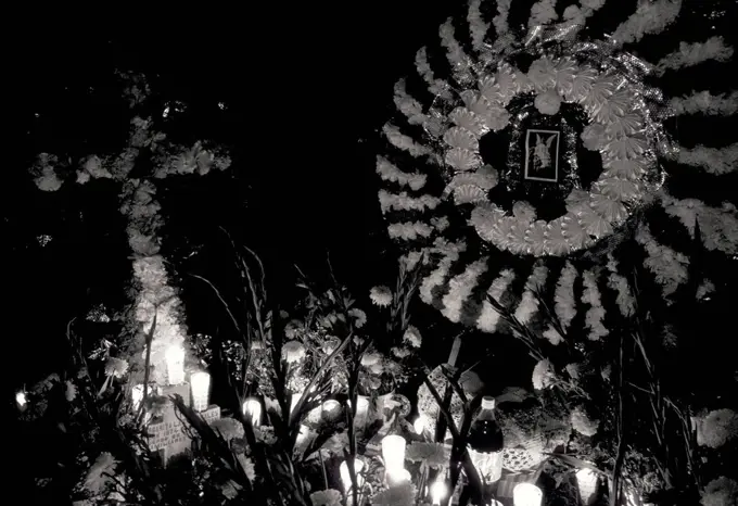 Day of the Dead Celebration