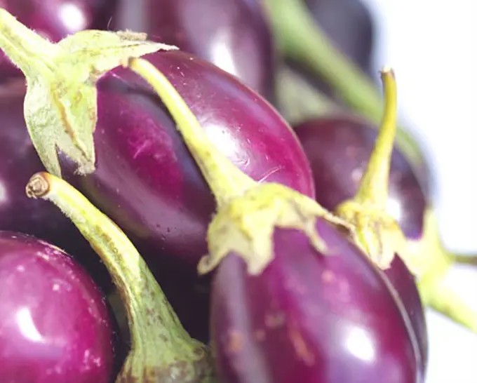 Close-up of eggplant