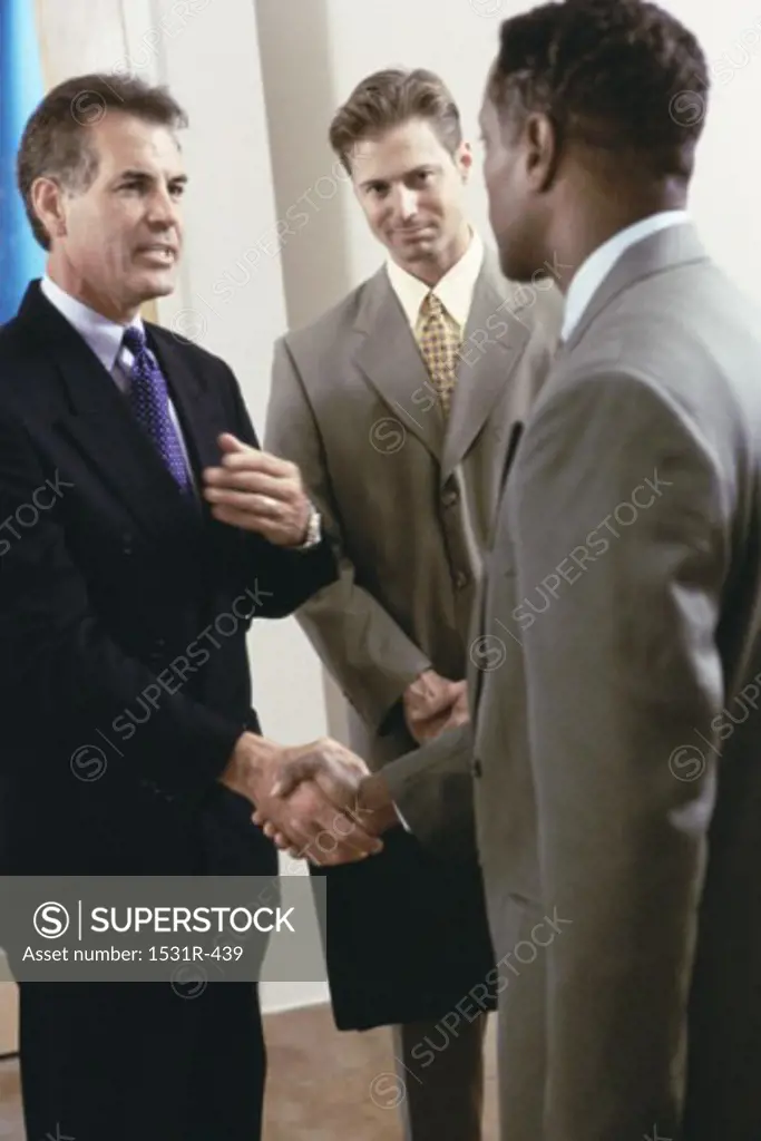 Two businessmen shaking hands