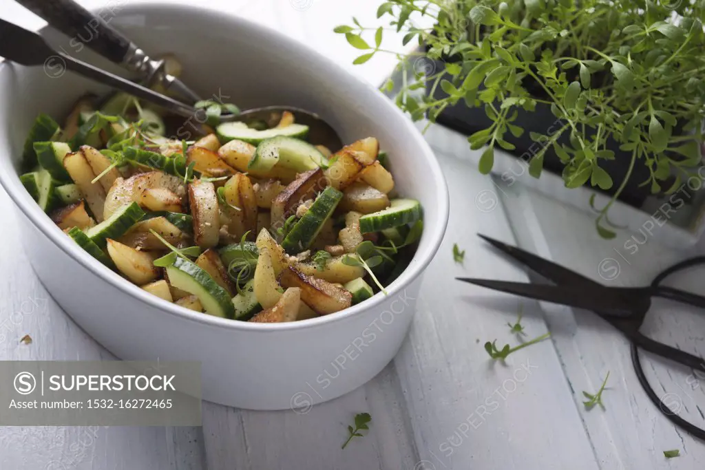 Warm fried potato and cucumber salad with fresh cress and walnuts