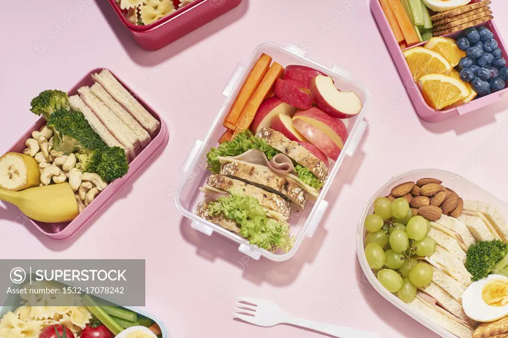 School lunchboxes with various healthy nutritious meals