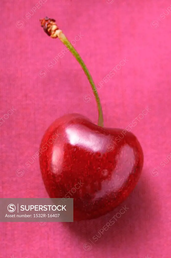 A red heart cherry on pink background